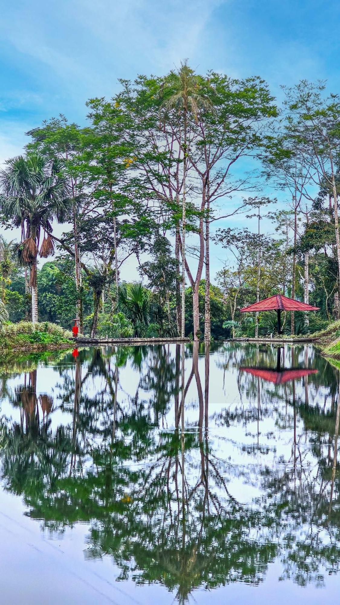 Hosteria Finca El Pigual Puyo Exteriér fotografie