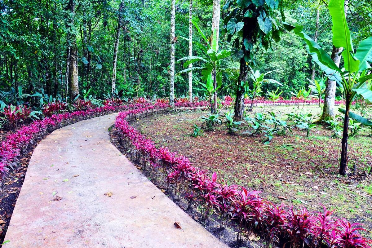 Hosteria Finca El Pigual Puyo Exteriér fotografie